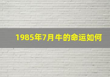 1985年7月牛的命运如何