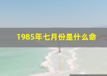 1985年七月份是什么命