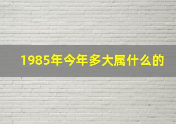 1985年今年多大属什么的