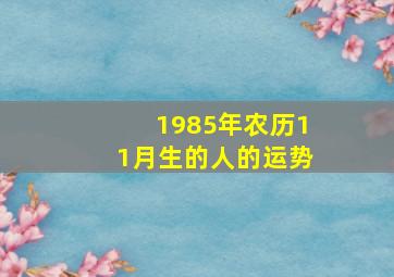 1985年农历11月生的人的运势