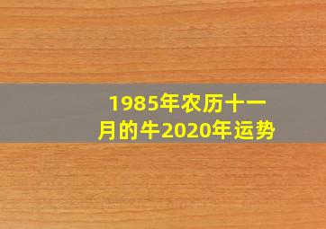 1985年农历十一月的牛2020年运势