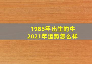 1985年出生的牛2021年运势怎么样