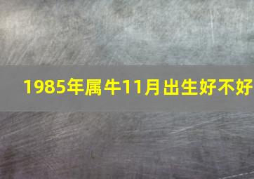 1985年属牛11月出生好不好