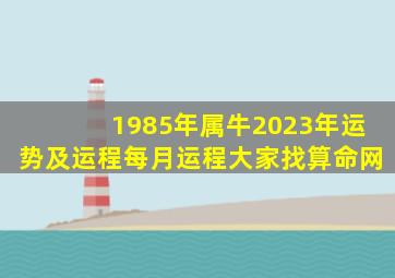 1985年属牛2023年运势及运程每月运程大家找算命网