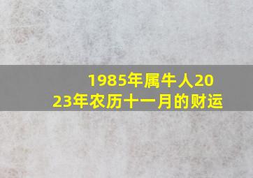 1985年属牛人2023年农历十一月的财运