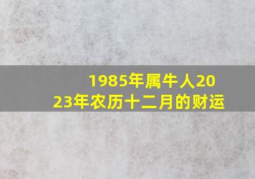 1985年属牛人2023年农历十二月的财运