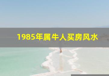 1985年属牛人买房风水