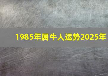 1985年属牛人运势2025年