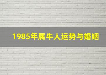 1985年属牛人运势与婚姻