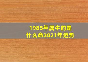 1985年属牛的是什么命2021年运势