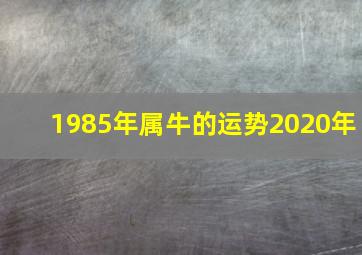 1985年属牛的运势2020年