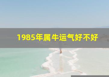 1985年属牛运气好不好