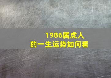 1986属虎人的一生运势如何看