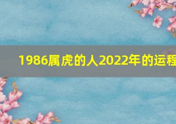 1986属虎的人2022年的运程