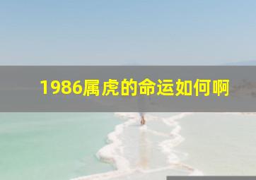 1986属虎的命运如何啊