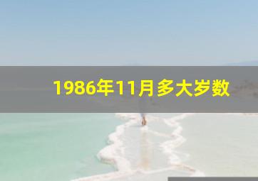 1986年11月多大岁数