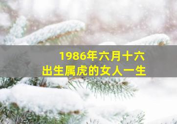 1986年六月十六出生属虎的女人一生