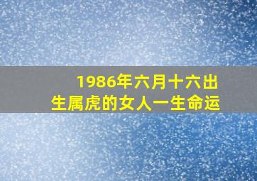 1986年六月十六出生属虎的女人一生命运