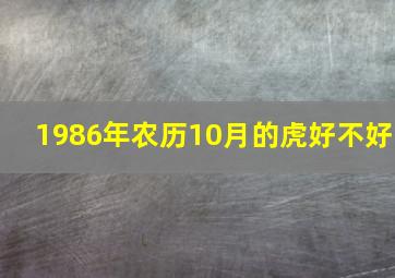 1986年农历10月的虎好不好