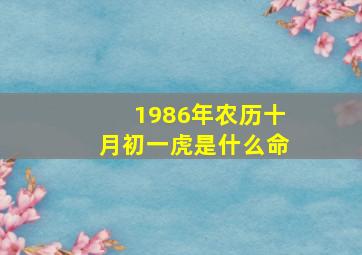 1986年农历十月初一虎是什么命