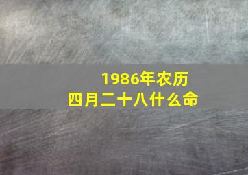 1986年农历四月二十八什么命