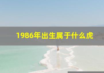 1986年出生属于什么虎