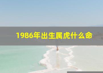 1986年出生属虎什么命