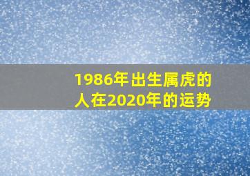 1986年出生属虎的人在2020年的运势