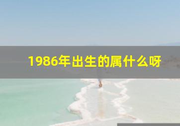 1986年出生的属什么呀