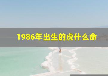 1986年出生的虎什么命