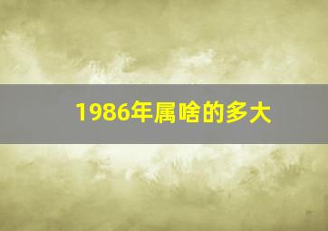 1986年属啥的多大