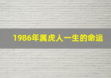 1986年属虎人一生的命运