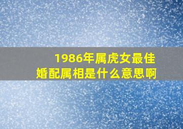 1986年属虎女最佳婚配属相是什么意思啊