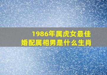 1986年属虎女最佳婚配属相男是什么生肖