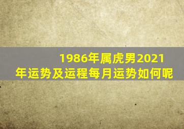 1986年属虎男2021年运势及运程每月运势如何呢