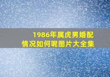 1986年属虎男婚配情况如何呢图片大全集