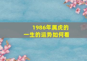 1986年属虎的一生的运势如何看