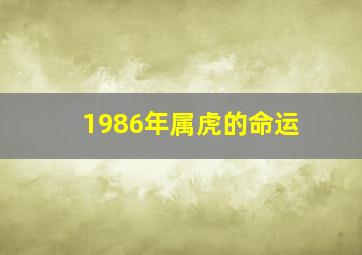 1986年属虎的命运