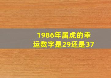 1986年属虎的幸运数字是29还是37