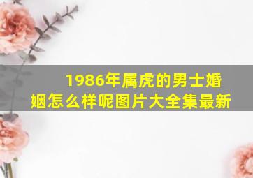 1986年属虎的男士婚姻怎么样呢图片大全集最新