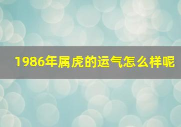 1986年属虎的运气怎么样呢