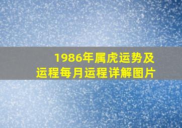 1986年属虎运势及运程每月运程详解图片