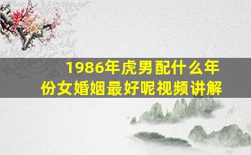 1986年虎男配什么年份女婚姻最好呢视频讲解