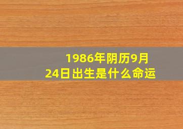 1986年阴历9月24日出生是什么命运