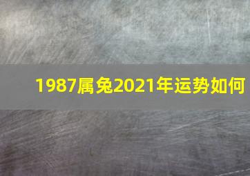 1987属兔2021年运势如何