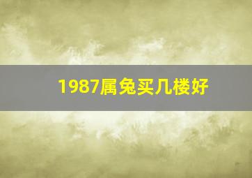 1987属兔买几楼好