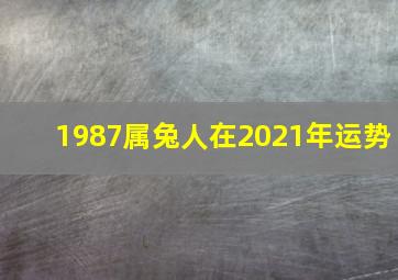 1987属兔人在2021年运势