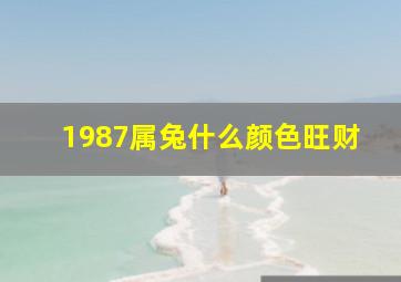 1987属兔什么颜色旺财