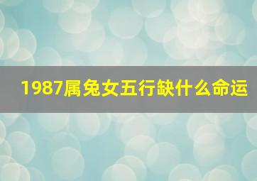 1987属兔女五行缺什么命运