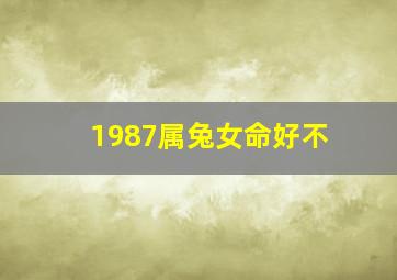 1987属兔女命好不